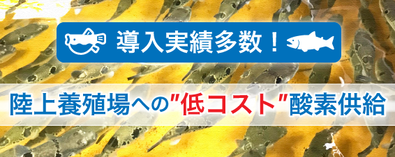 導入実績多数！陸上養殖上への低コスト酸素供給